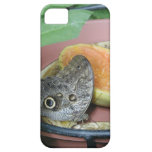 cas de l'iPhone 5 - papillon Coque Case-Mate iPhone 5