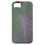 Cas de l'iPhone 5S de feuille d'éléphant Coque iPhone 5