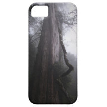 Cas divin de l'iPhone 5 de l'arbre 551 AVANT JÉSUS Coques Case-Mate iPhone 5