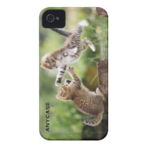 Cas fait sur commande de chatons pour l'iPhone 4 o Coques iPhone 4 Case-Mate