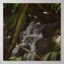 Cascade Affiche