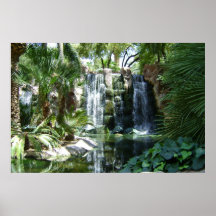 Cascades Posters