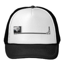 Casquette blanc drôle de chat persan