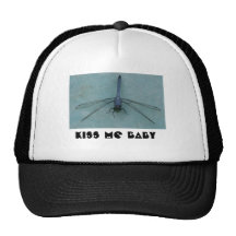 Casquette bleu de libellule