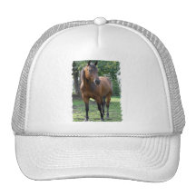 Casquette de baseball de cheval de pur sang de bai