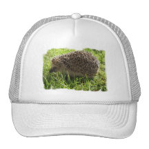 Casquette de baseball de hérisson