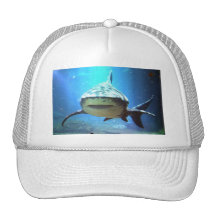 Casquette de baseball de requin
