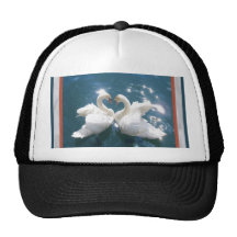 Casquette de cygnes muets