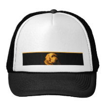 Casquette de portrait de golden retriever