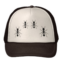 casquette, fourmi,