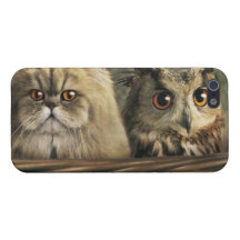 Cat&Owl iPhone 5 Case