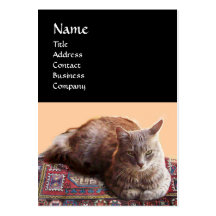 CAT TURC DANS LA MÉDITATION TRANSCENDANTALE CARTES DE VISITE PERSONNELLES