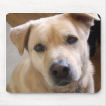 CATO de WONDER HOND AANBIDDELIJKE Mousepad Muis Mat