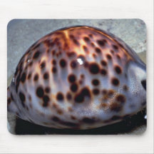 Cauri de tigre (Cypraea le Tigre) Shell Tapis De Souris
