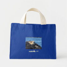 CE QUI ? ! ? SAC