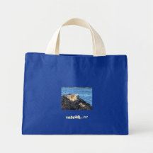 CE QUI ? ! ? SAC DE TOILE