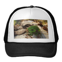 Cecarta Casquette De Camionneur