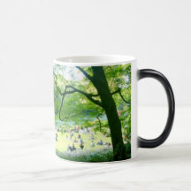 Central Park NY, NY Tasses