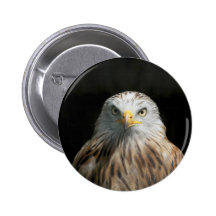 Cerf-volant rouge badge avec épingle