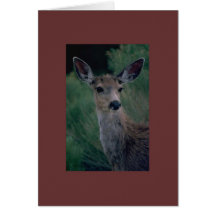 cerfs communs paisibles carte