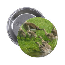 Chacun Badge Avec Épingle