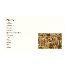 champ de blé carte de visite