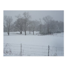 Champ de Milou Cartes Postales