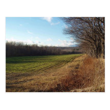 Champ II de novembre Cartes Postales