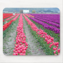 Champ mousepad. de tulipe tapis de souris