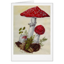 Champignon Cartes De Vœux
