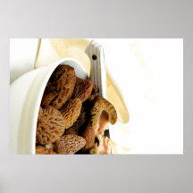 Champignon de morelle posters