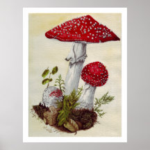 Champignon Posters