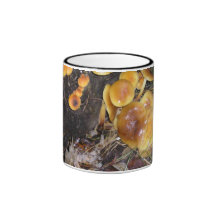 champignons dans les bois tasse