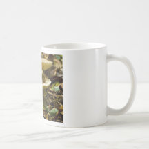 Champignons de matin mugs