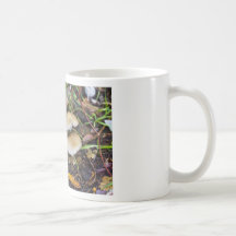 Champignons de matin tasse à café