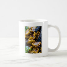 Champignons d'or tasses