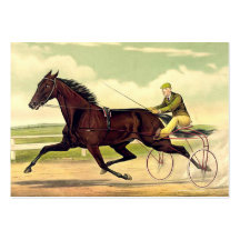 Champion boudeur SUPÉRIEUR Cartes De Visite Personnelles