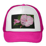 Chapeau blanc rose d'Impatiens Casquettes