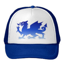 chapeau bleu de dragon casquette de camionneur