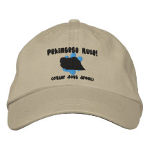 Chapeau brodé par règle de Pekingese