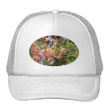 Chapeau d'arbre de douche d'arc-en-ciel casquettes