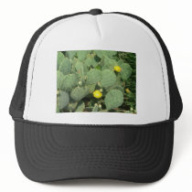 Chapeau de cactus