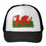 Chapeau de dragon de Gallois Casquette