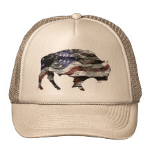 Chapeau de drapeau de bison casquette