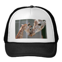 Chapeau de girafe et de bébé casquette