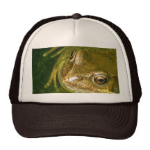 Chapeau de grenouille casquettes