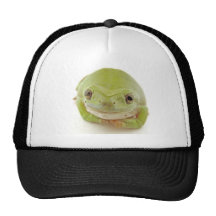 Chapeau de grenouille casquettes de camionneur