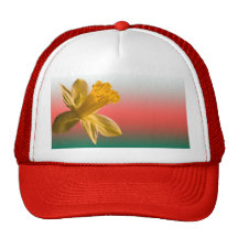 Chapeau de jonquille casquettes de camionneur