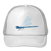 Chapeau de libellule casquettes