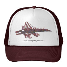 Chapeau de l'image 1 de dragon de roulette casquettes